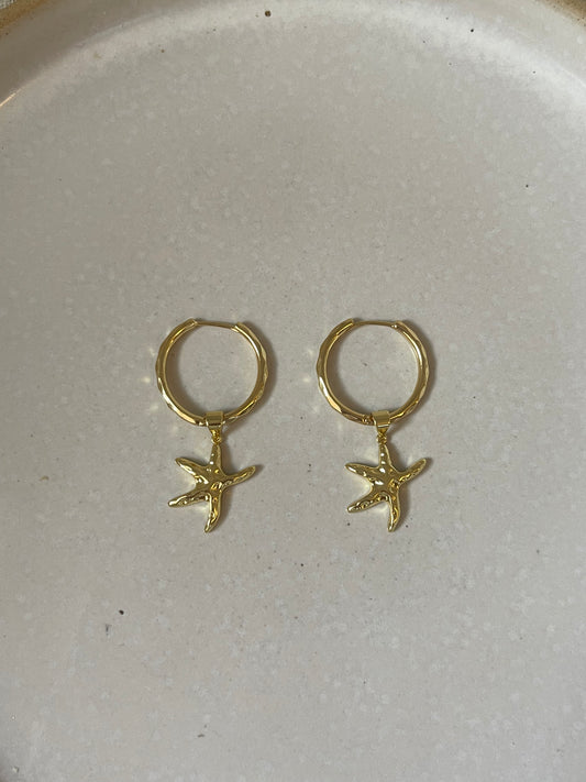Starfish earrings